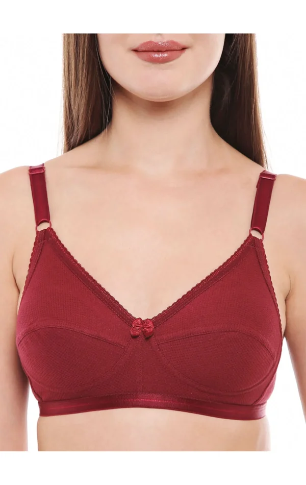 Perfect Coverage Bra-1517 - Image 24