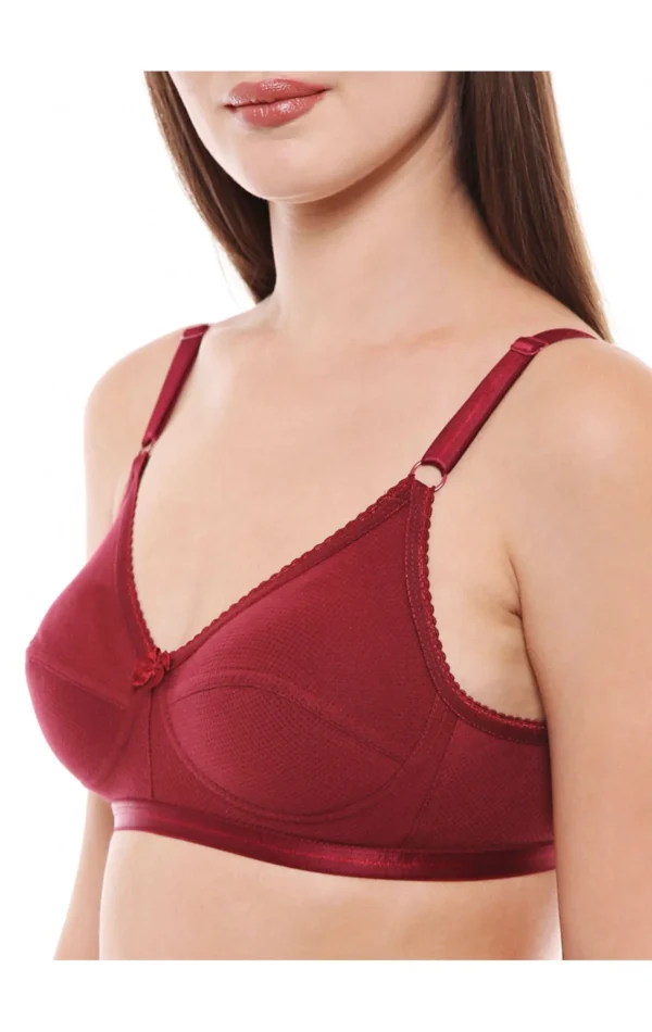 Perfect Coverage Bra-1517 - Image 25