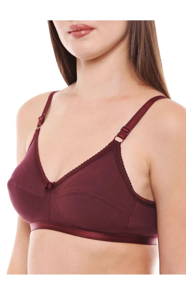 Perfect Coverage Bra-1517 - Image 54